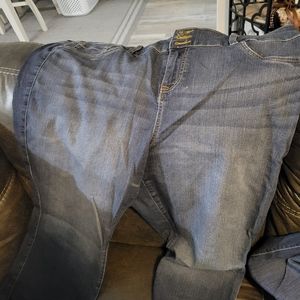 Torrid 22 short jeans